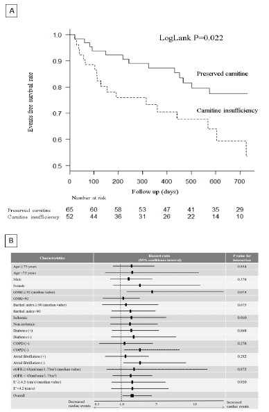 Figure 2 The Effect of Carnitine Insufficiency on Clinical Outcomes A: Event-free Survival Rate in Patients with or without Carnitine Insufficiency. B: Effect of Carnitine Insufficiency on Primary Outcomes in the Subgroups