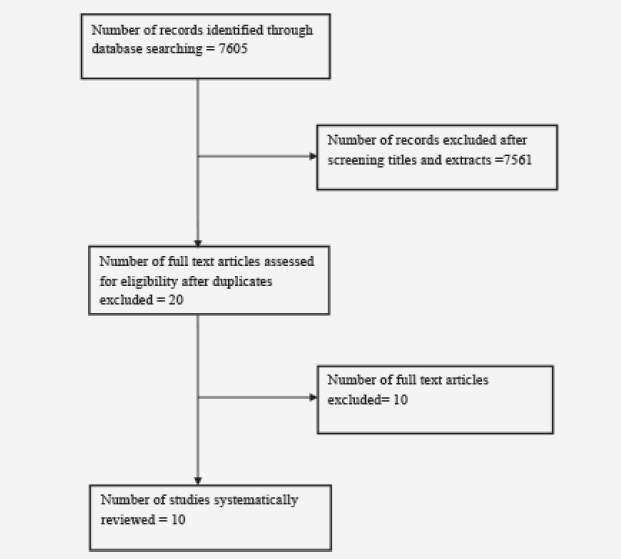 antioxidant supplements in alzheimer s dementia and mild difference between alzheimer s and dementia chart