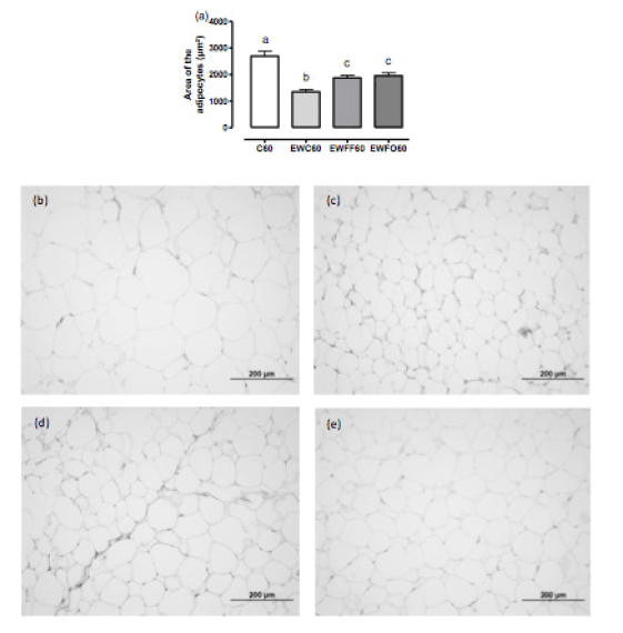Figure 1 Area of the adipocytes (a) and photomicrographs of the adipocytes, staining with HE, original magnification (200X). C60 (n=9, b) and EWC60 (n=10, c) groups treated with control diet. EWFF60 (n=11, d) and EWFO60 (n=10, e) treated with diet containing 25/100g flaxseed flour or 7g/100g flaxseed oil, respectively, and analyzed at 60 days. a,b,cValues displaying different superscripts are significantly different (p<0.05, one-way variance analysis, followed by Newman-Keuls post-test). C, control; EW, early weaning; FF, flaxseed flour; FO, flaxseed oil; HE, hematoxylin-eosin