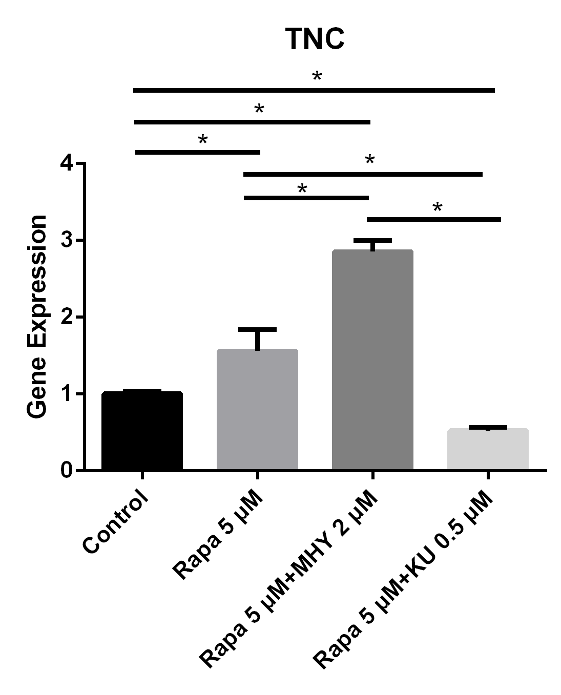 Figure 3 Blocking of mTOR1 or the activation of mTOR2 induced the expression of TNC and blocking of mTOR2 inhibited the expression of TNC