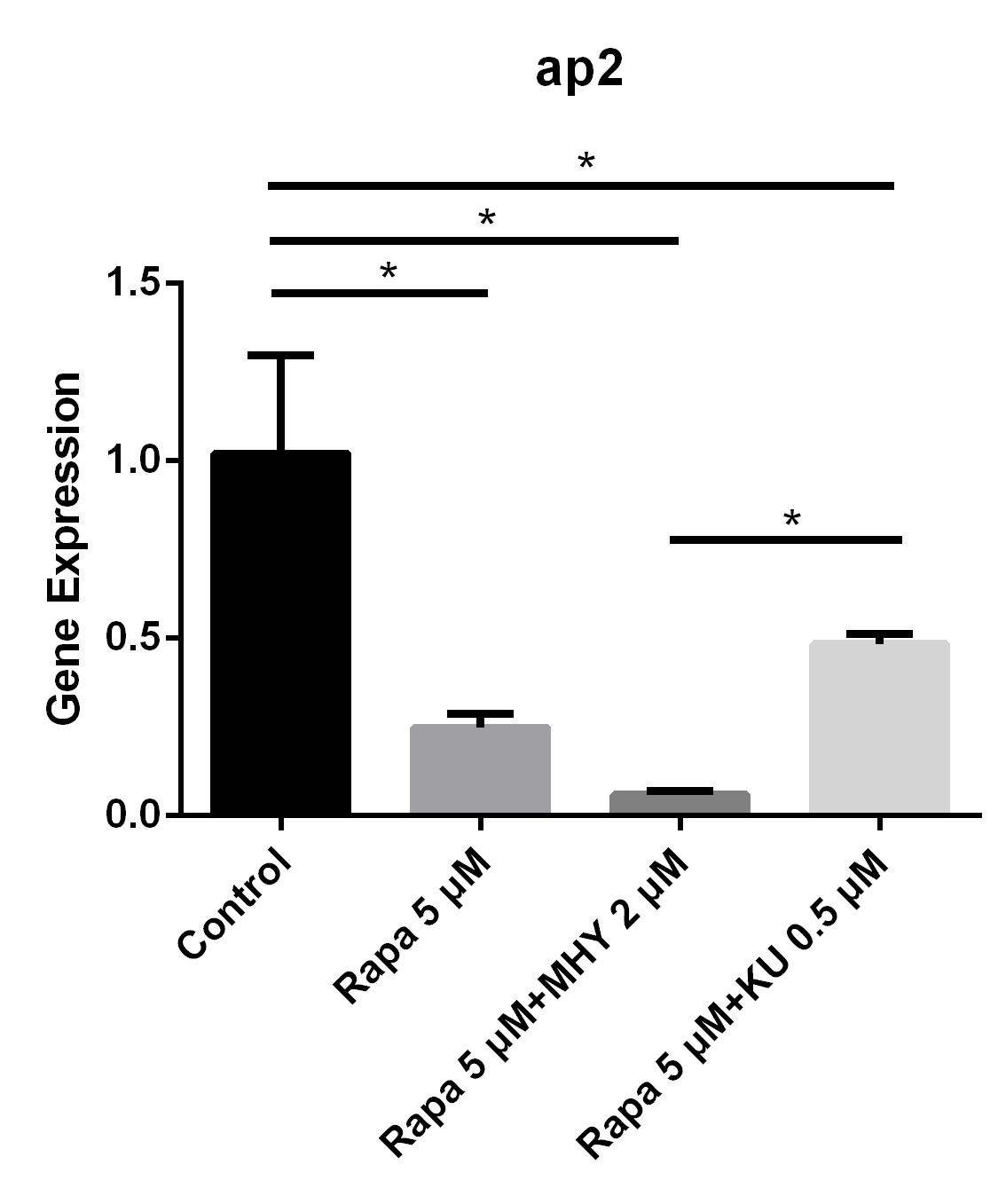 Figure 4 Blocking of mTOR1 by rapamycin decreased the expression of ap2; however, activation of mTOR1 and mTOR2 simultaneously by MHY decreased the expression of ap2 too