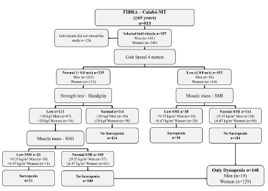 Profile of the study using the consensus of the European Working Group on Sarcopenia in Older People (EWGSOP), suggested in case you find sarcopenia in older individuals. SMI = skeletal muscle mass index obtained by the absolute mass of the skeletal muscles divided by squared height in meters (kg/m²)